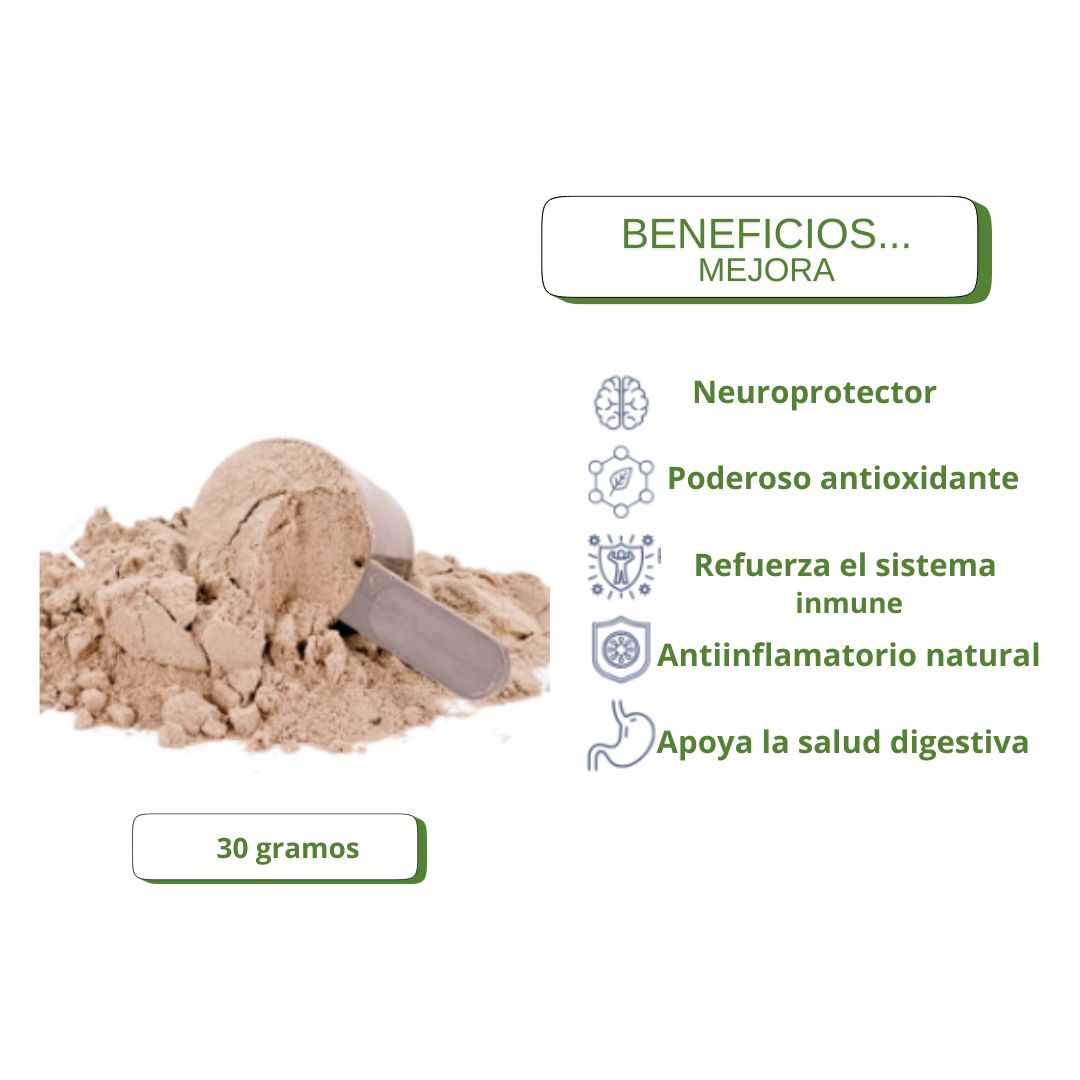 Chaga Antioxidante