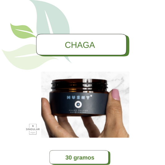 Chaga Antioxidante